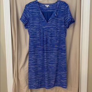 gap blue and white striped dress